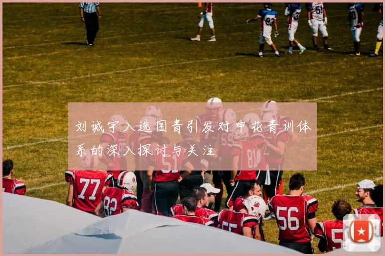 刘诚宇入选国青引发对申花青训体系的深入探讨与关注